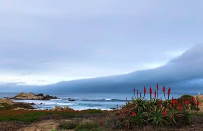 Monterey, California